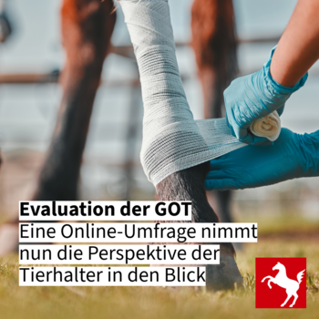 Pferdehalter-Umfrage im Rahmen der GOT-Evaluation