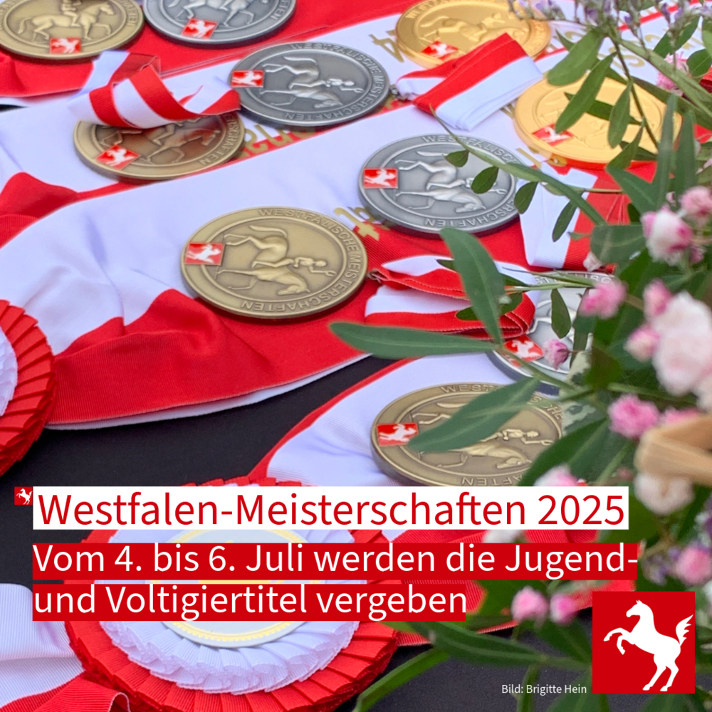 Westfälische Meisterschaften Dressur, Springen und Voltigieren