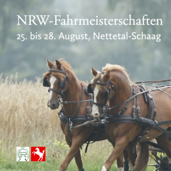 NRW-Fahrmeisterschaften 2o22 in Nettetal-Schaag