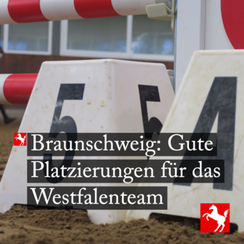 Braunschweig: Ergebnisse des Westfalenteams
