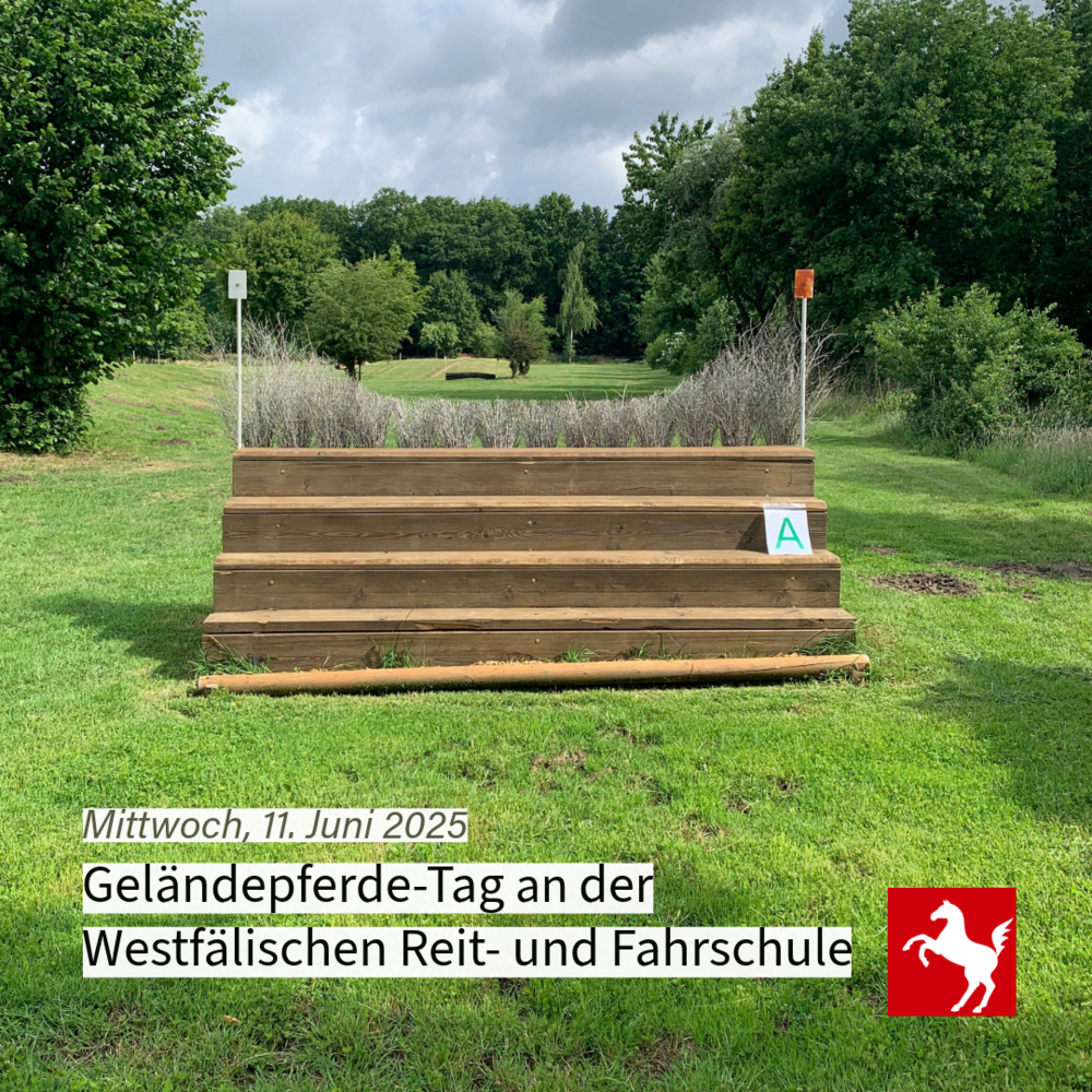 Geländepferdetag an der Schule
