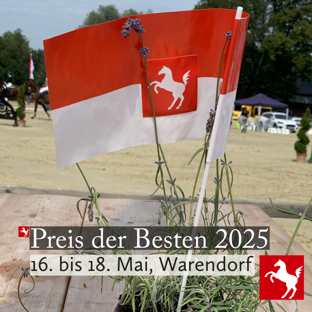 Symbolbild zum Preis der Besten 2025