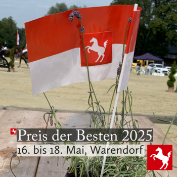 Symbolbild zum Preis der Besten 2025