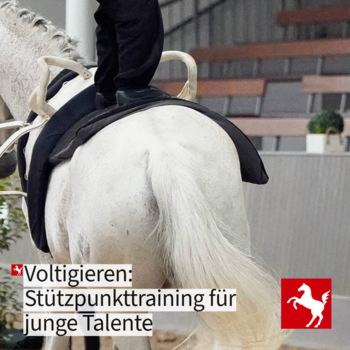 Jetzt für das Stützpunkttraining Voltigieren 2026/27 bewerben