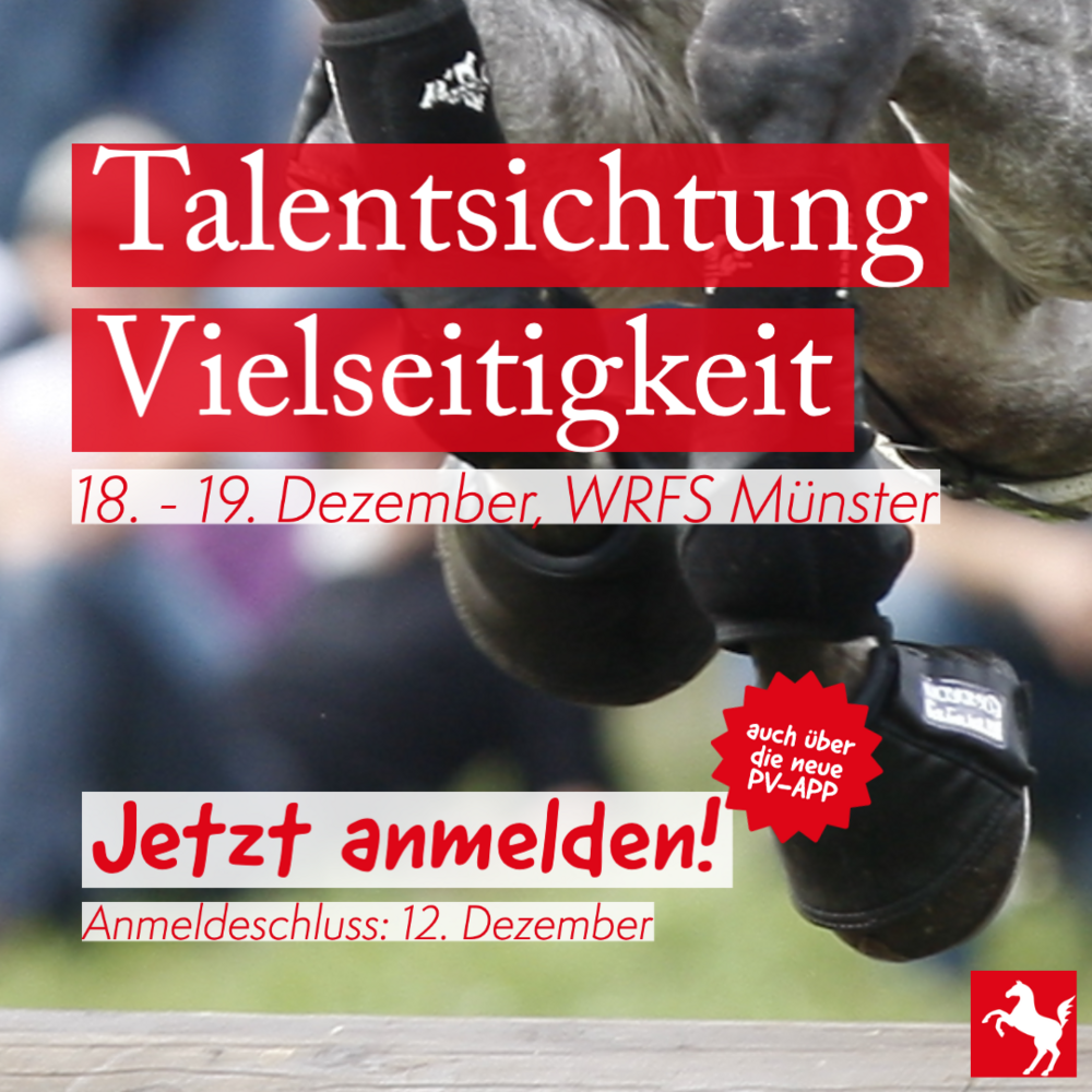 Talentsichtung Vielseitigkeit