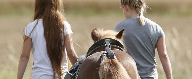 Westfälische Pferdesport Jugend