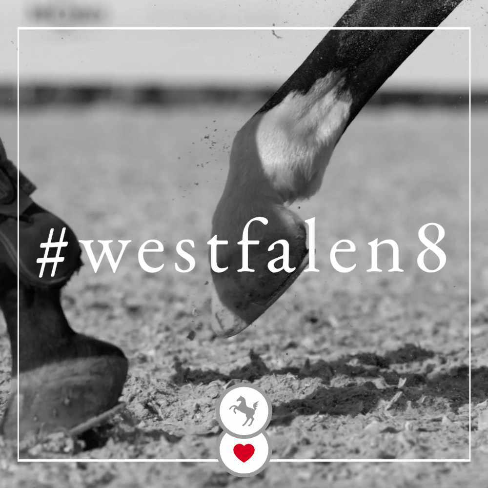 #westfalen8