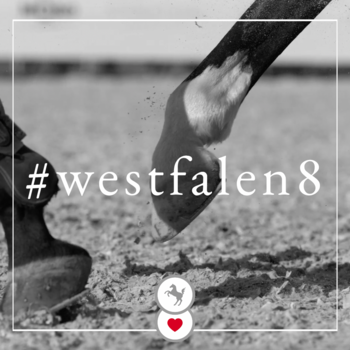 Westfalen8 Registrierung ab jetzt möglich