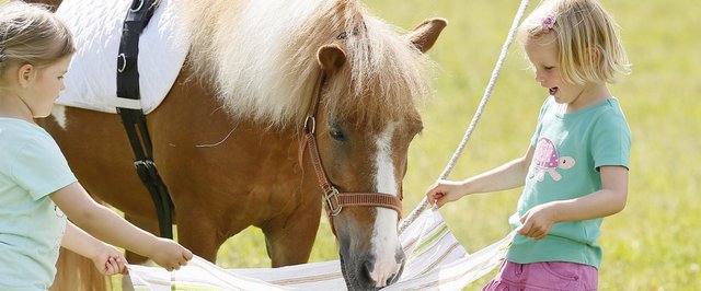 Kibaz mit Pony