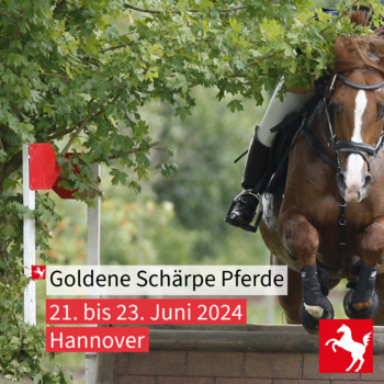 Goldene Schärpe 2024