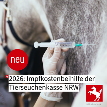 Die Tierseuchenkasse NRW legt 2026 eine Impfkostenbeihilfe für Pferdehalter auf