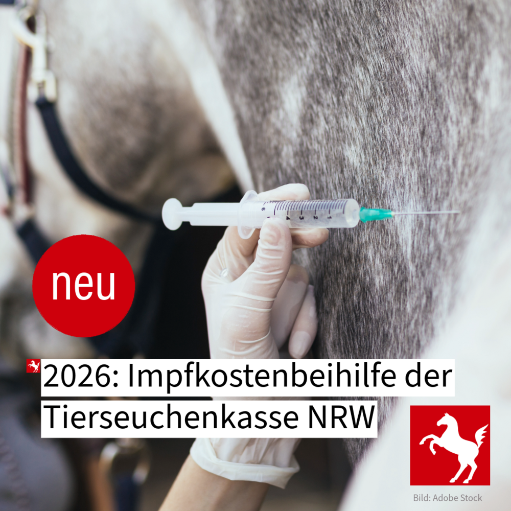 Die Tierseuchenkasse NRW legt 2026 eine Impfkostenbeihilfe für Pferdehalter auf