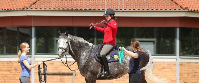 Zirkelbetrieb an der Westfälischen Reit- und Fahrschule