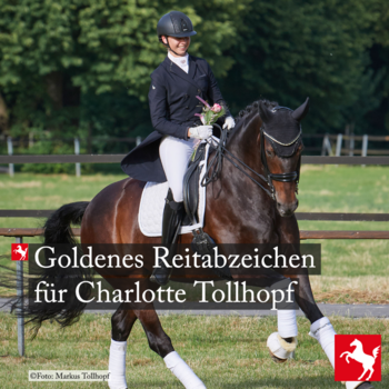 Charlotte Tollhopf