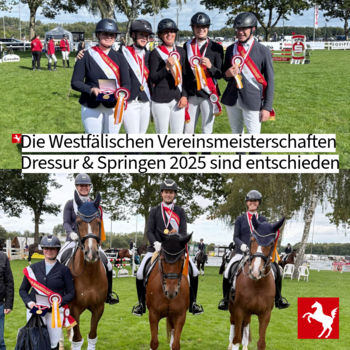 Greven gewinnt die Westfälischen Vereinsmeisterschaften 2025 in der Dressur und im Springen