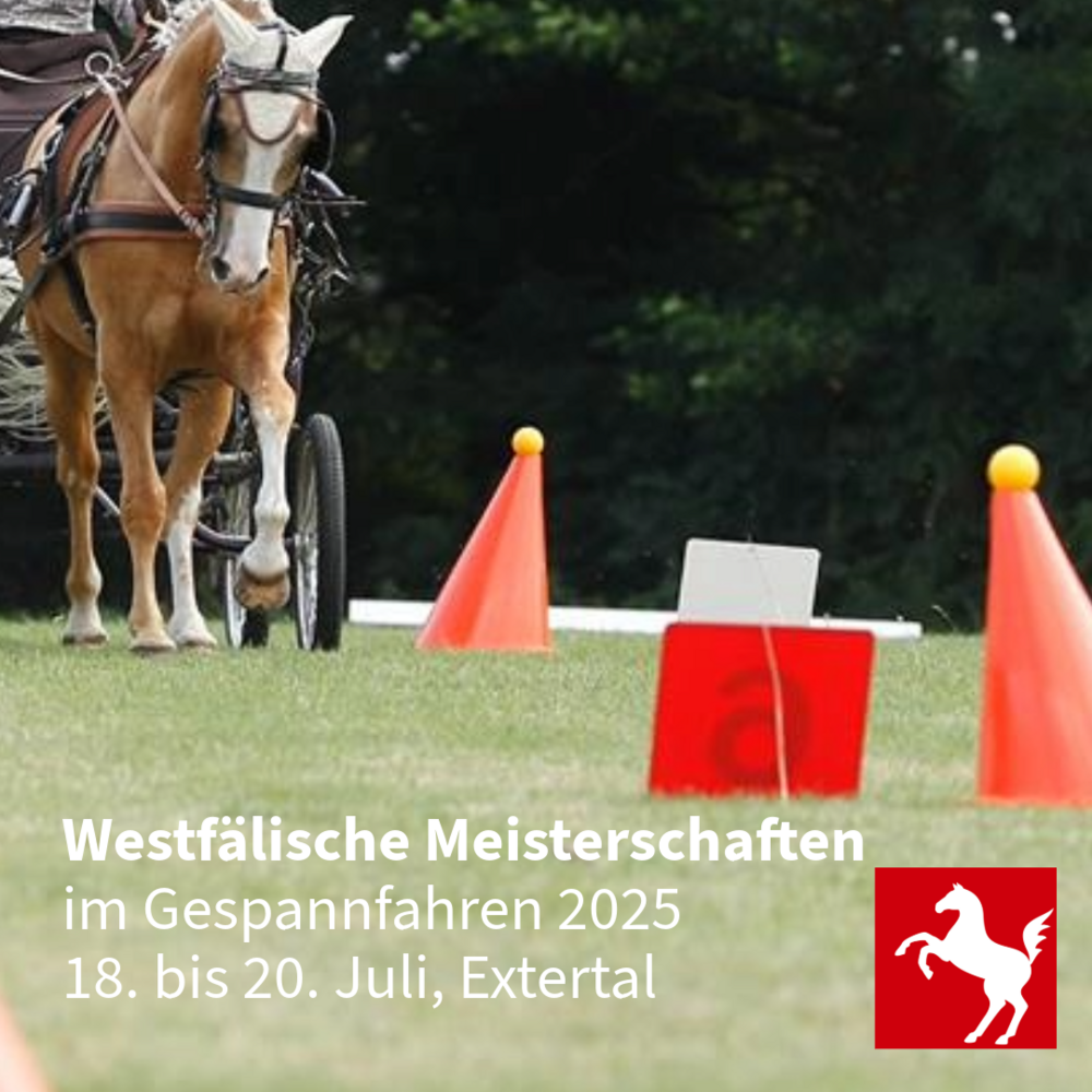 Vom 18. bis 20. Juli findet die Westfälische Meisterschaft im Gespannfahren statt