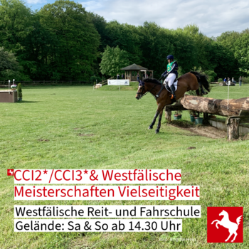 Das Bild zeigt ein startendes Paar der Westfälischen Meisterschaften Vielseitigkeit aus dem Jahr 2024