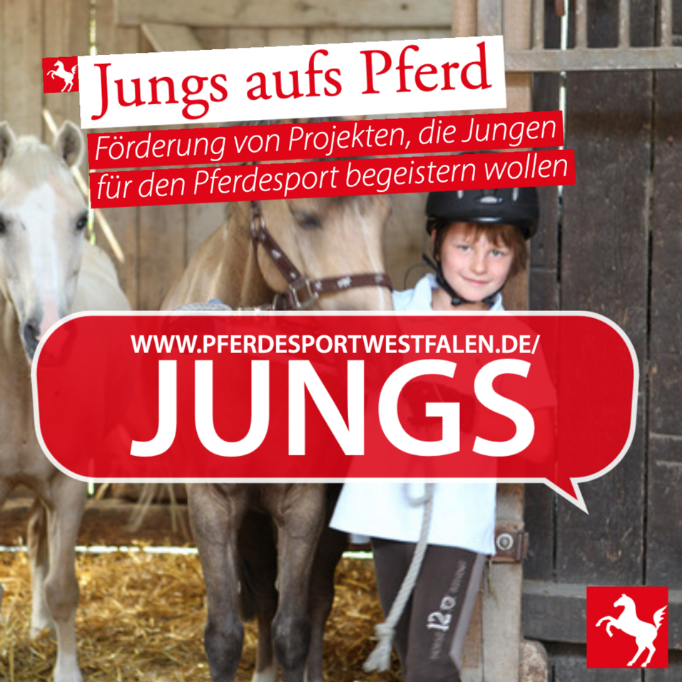 Jungs aufs Pferd