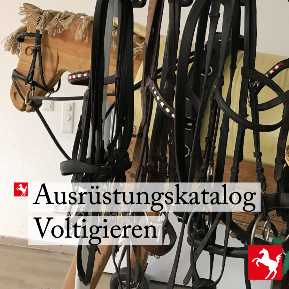 Erlaubte Ausrüstung im Voltigiersport