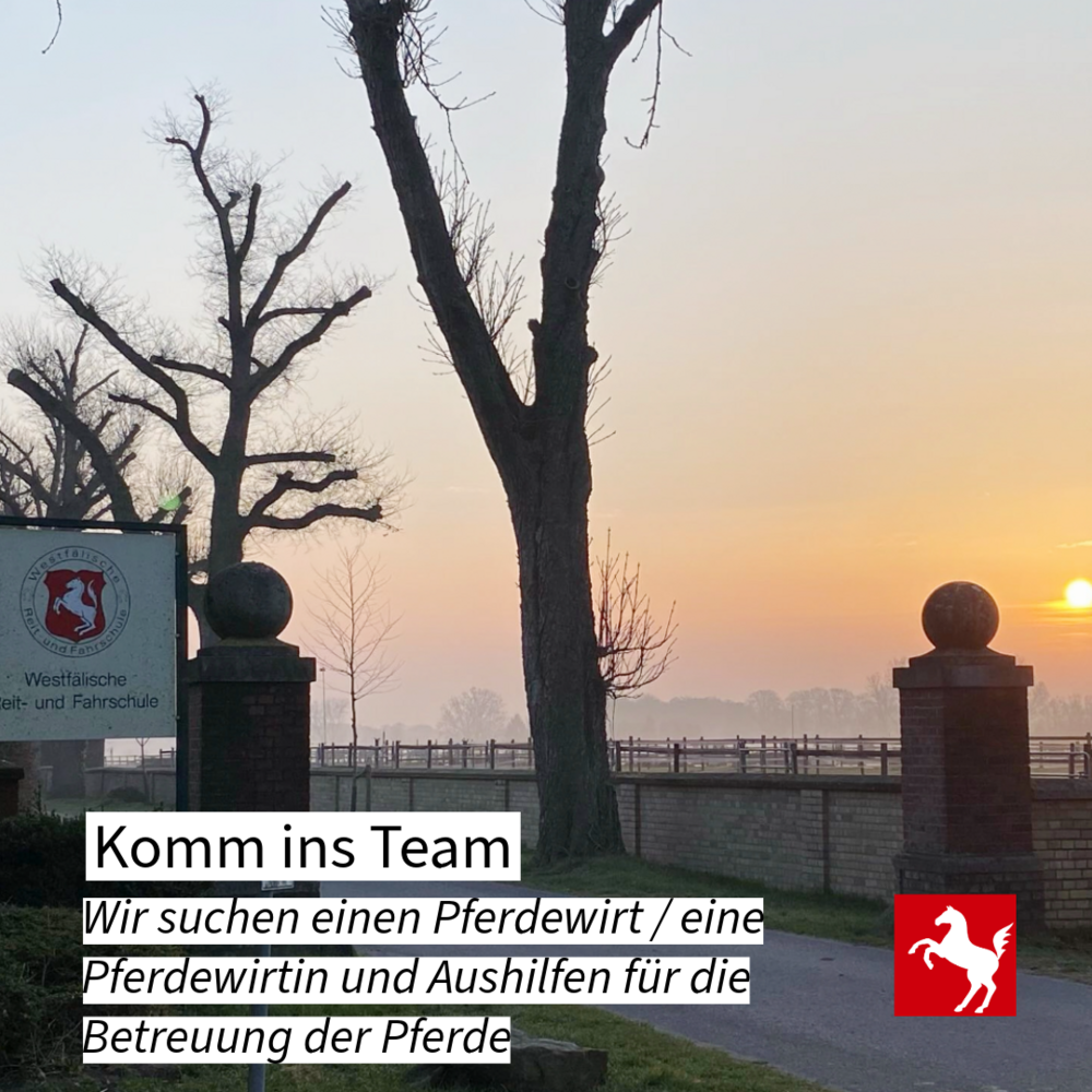 Jobs an der Westfälischen Reit- und Fahrschule