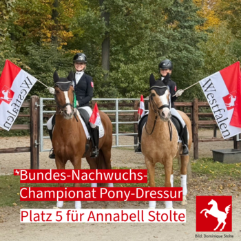 Bundes-Nachwuchschampionat Pony-Dressur 2025