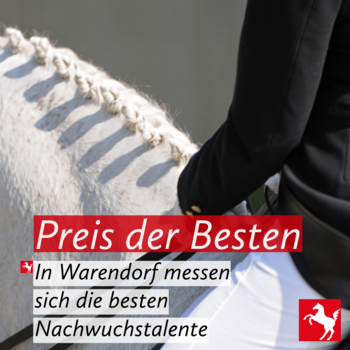 Der "Preis der Besten 2024" hat begonnen