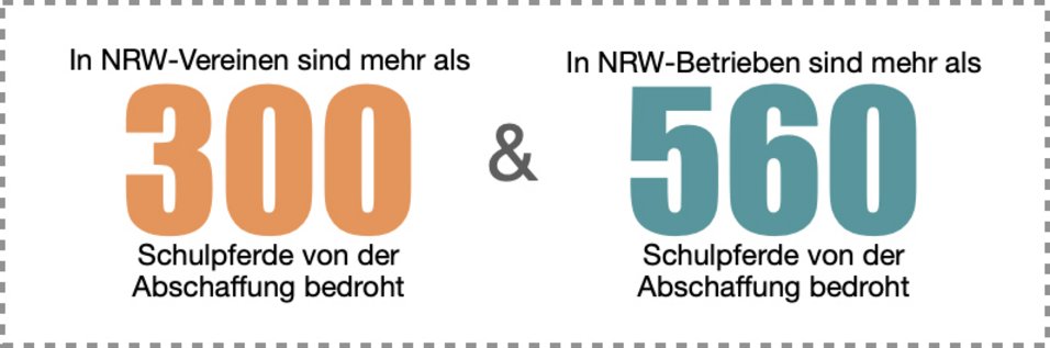 Abschaffung der Schulpferde droht