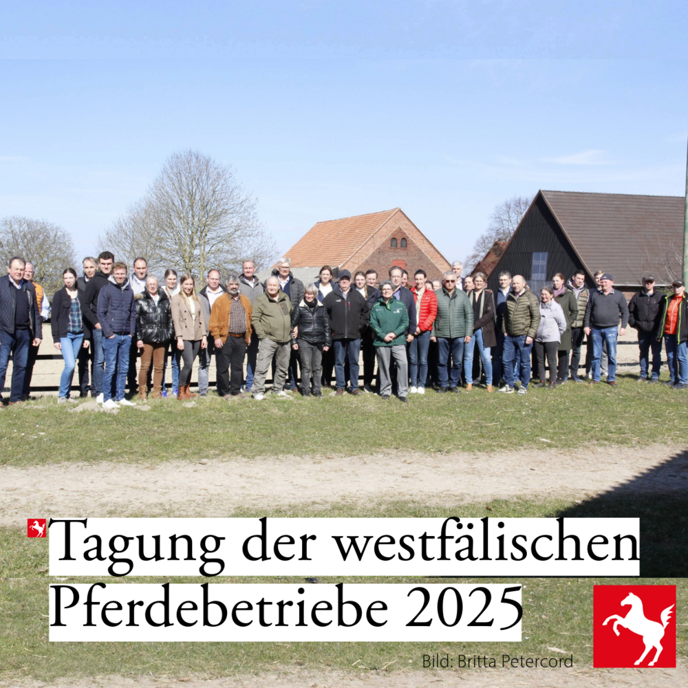 Die Tagung der westfälischen Pferdebetriebe 2025 fand in Soest statt.  