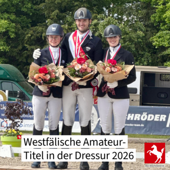 Die Westfälischen Amateuritel Dressur 2026 sind vergeben