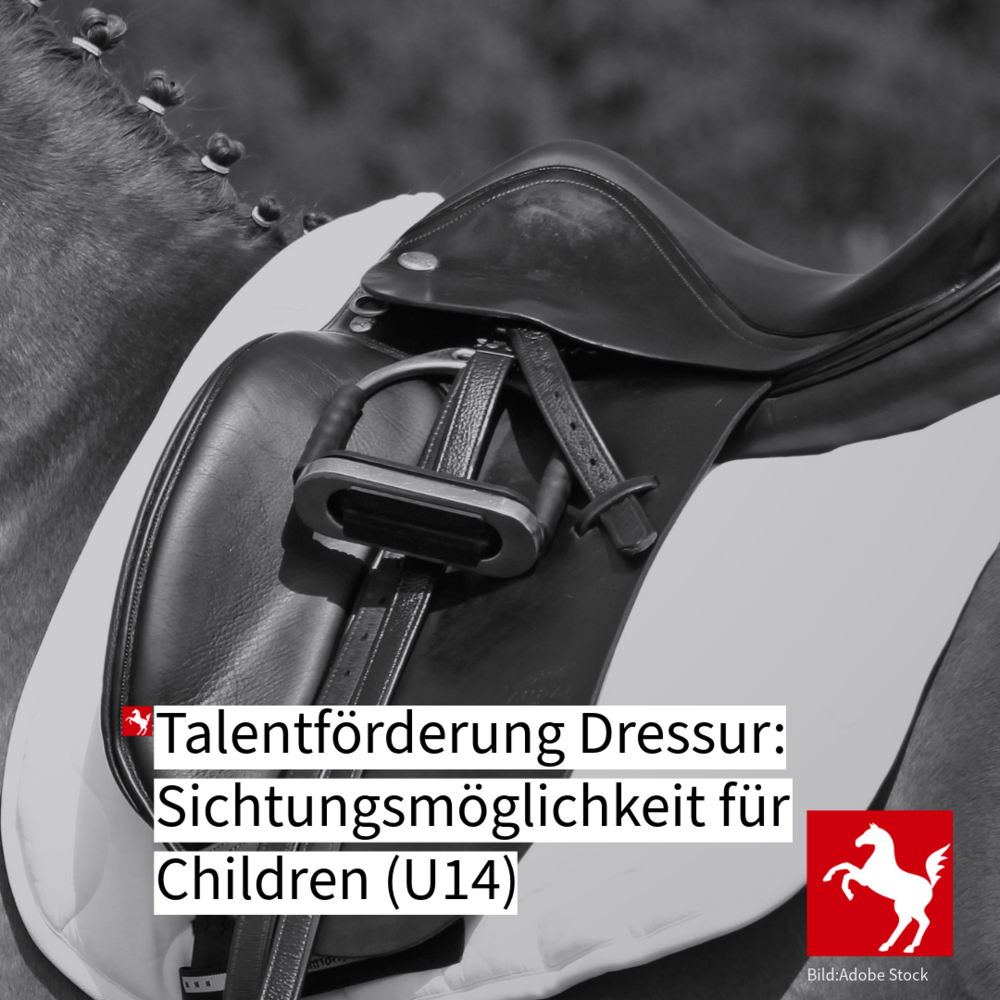 Talentsichtung Children-Dressur 