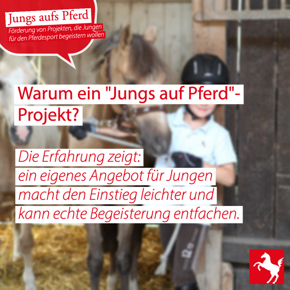 Jungs aufs Pferd