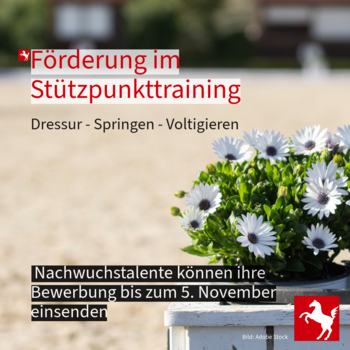 Stützpunkttraining in Westfalen