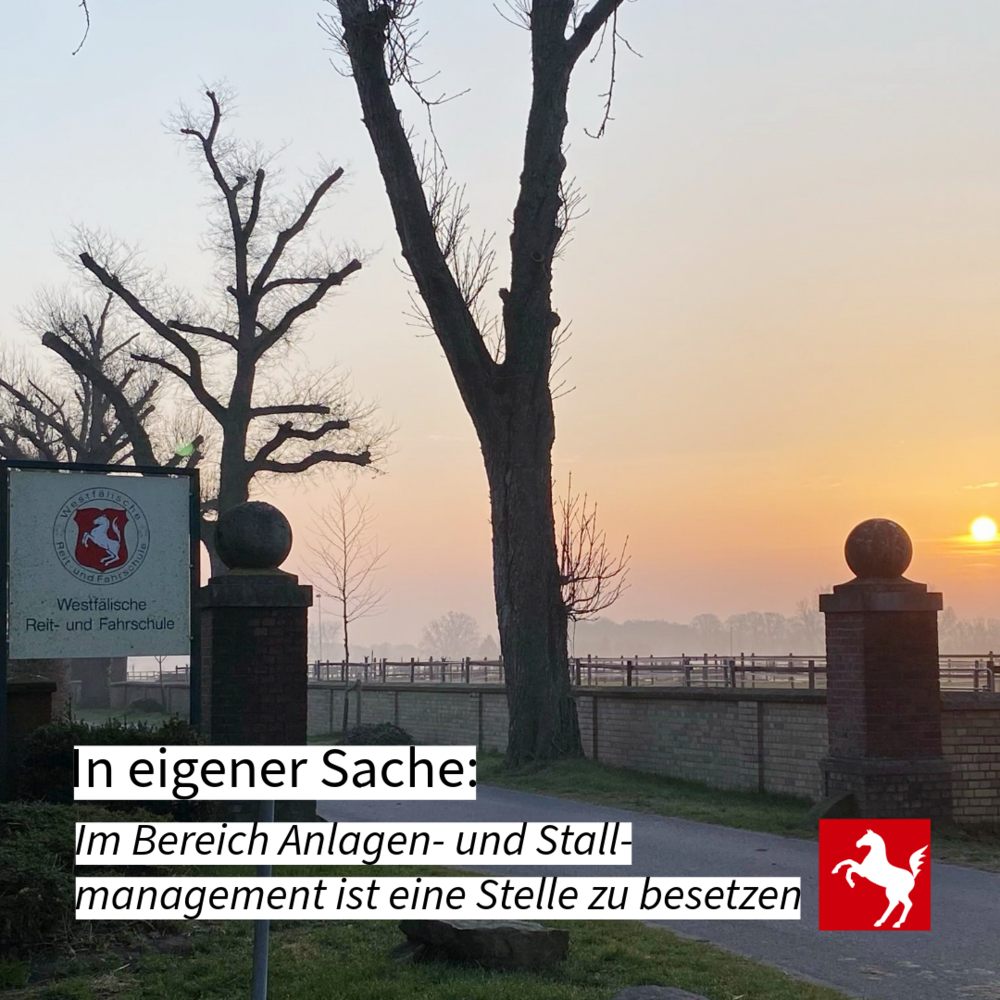 An der Westfälischen Reit- und Fahrschule ist eine Stelle im Bereich Anlagen- und Stallmanagement zu besetzen