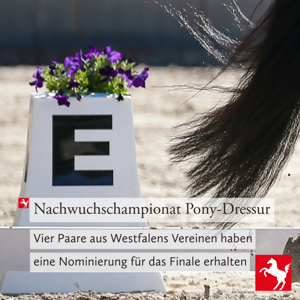 Nominierung für das Nachwuchschampionat Pony-Dressur