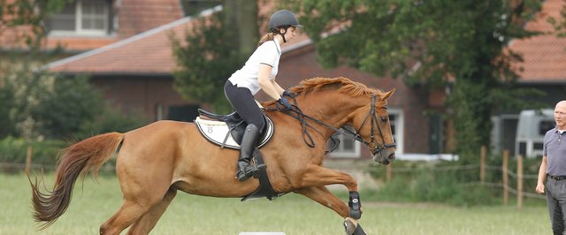 Symbolbild mit einer Reiterin, die über ein Cavaletti galoppiert