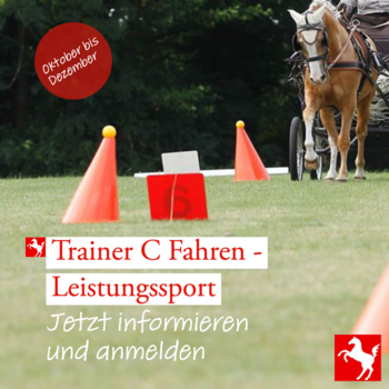 Trainer C Fahren - Leistungssport