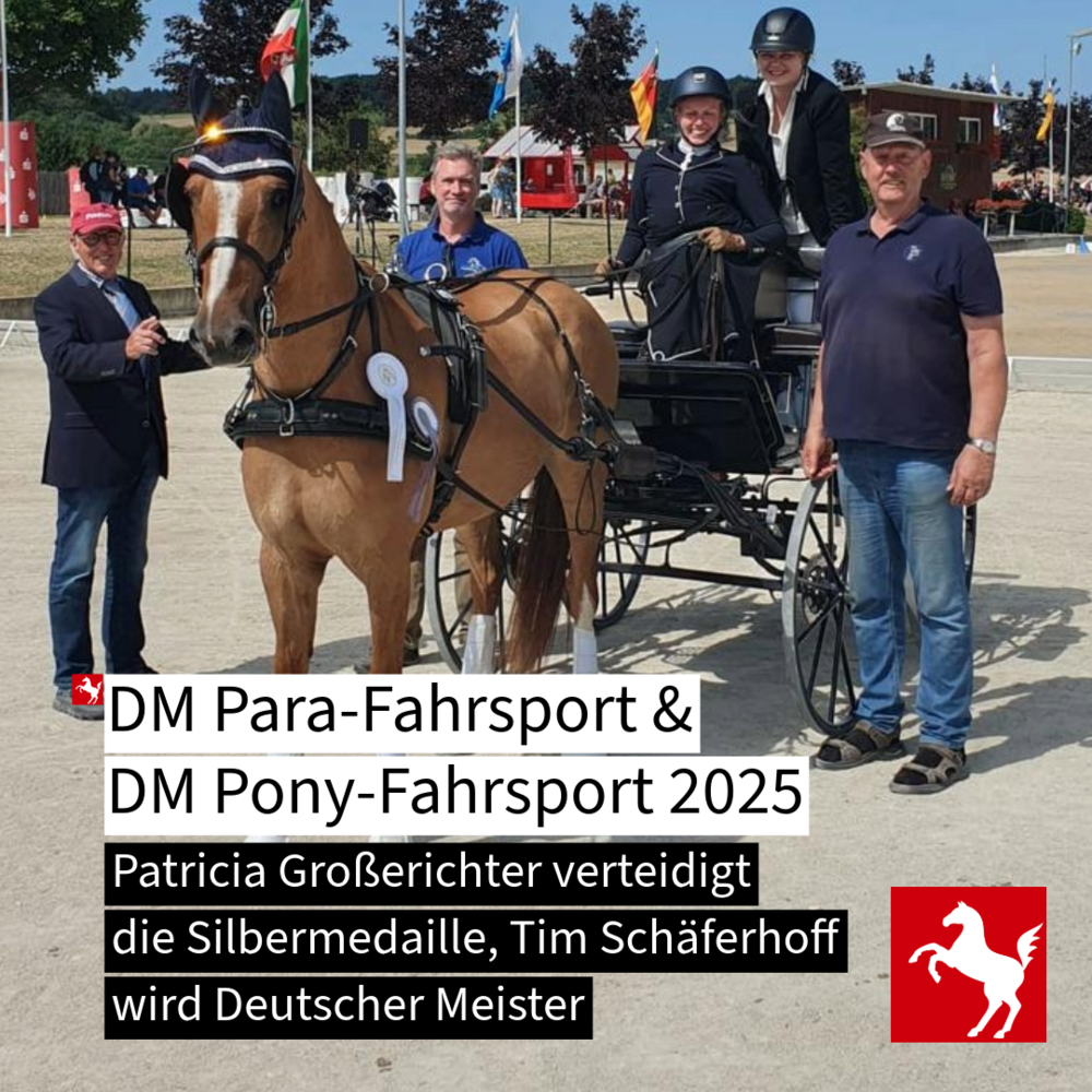 DM Para- und Ponyfahrsport 2025: Gold und Silber für Westfalen