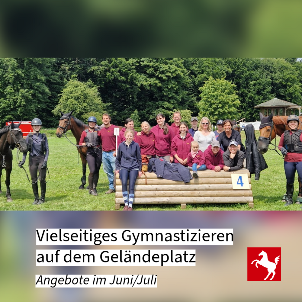 Seminar zum Gymnastizieren auf dem Geländeplatz