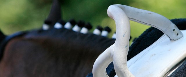 Westfälische Meisterschaften Voltigieren Junior und Senior
