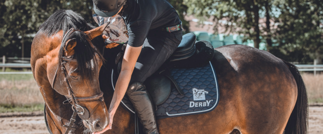 Derby ist offizieller Partner des Pferdesportverbandes Westfalen