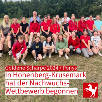 Goldene Schärpe Ponys