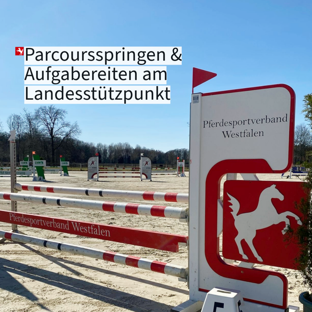 Parcoursspringen und Aufgabereiten am Landesstützpunkt